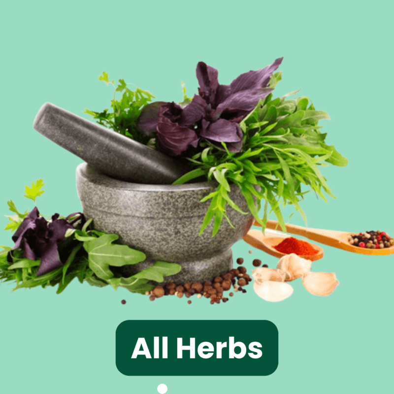 All Herbs