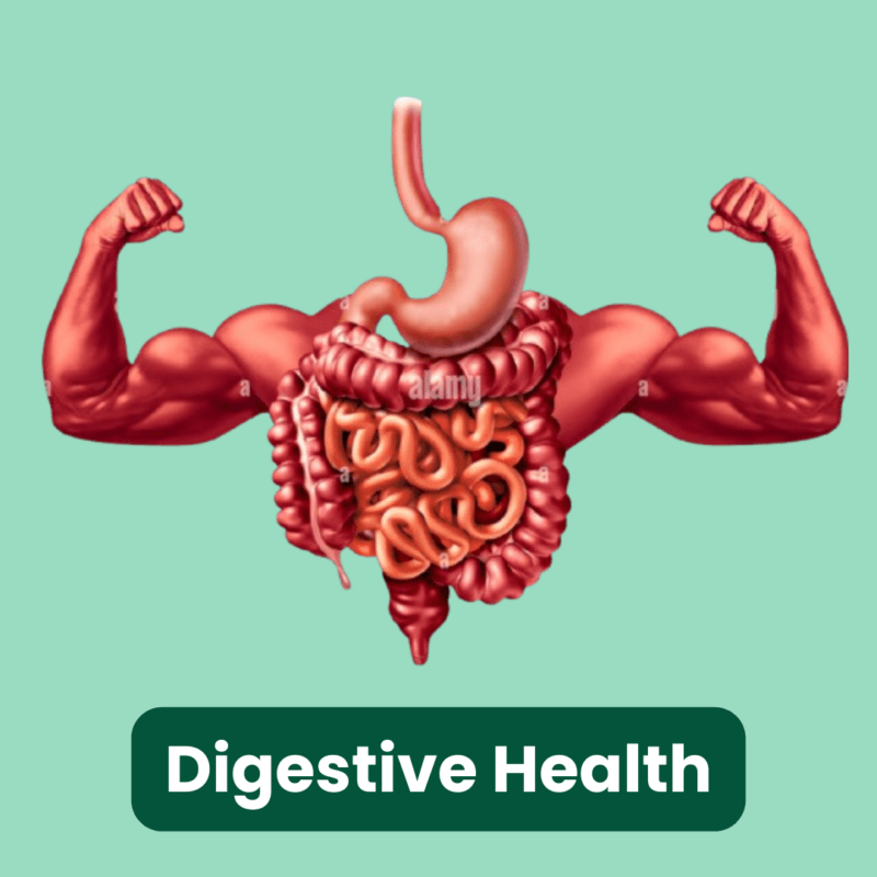 Digestive Health