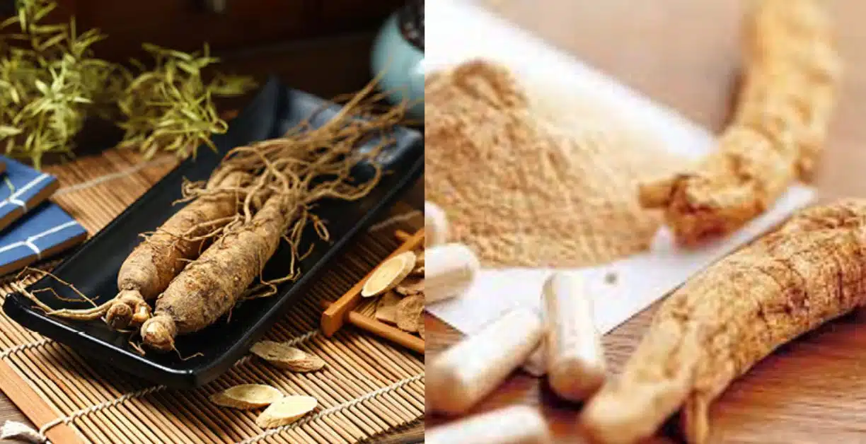 জিনসেং এর উপকারিতা